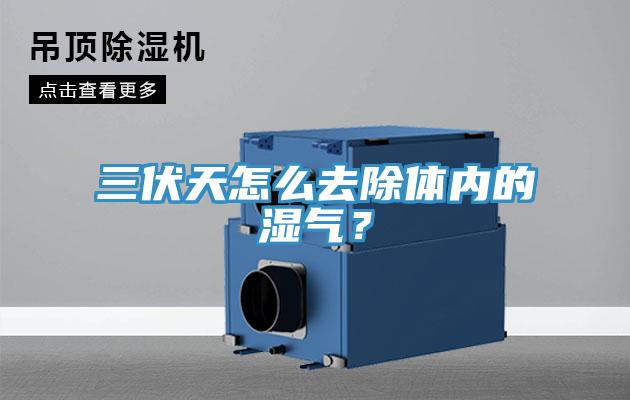 三伏天怎么去除體內的濕氣？