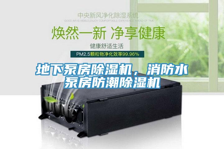 地下泵房除濕機，消防水泵房防潮除濕機