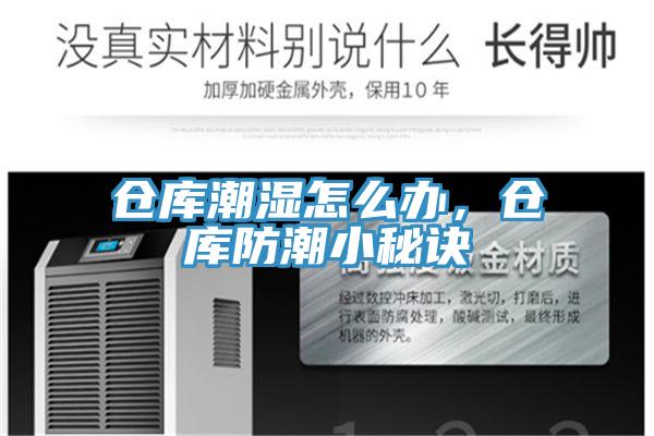 倉庫潮濕怎么辦，倉庫防潮小秘訣