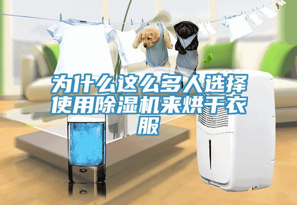 為什么這么多人選擇使用除濕機來烘干衣服