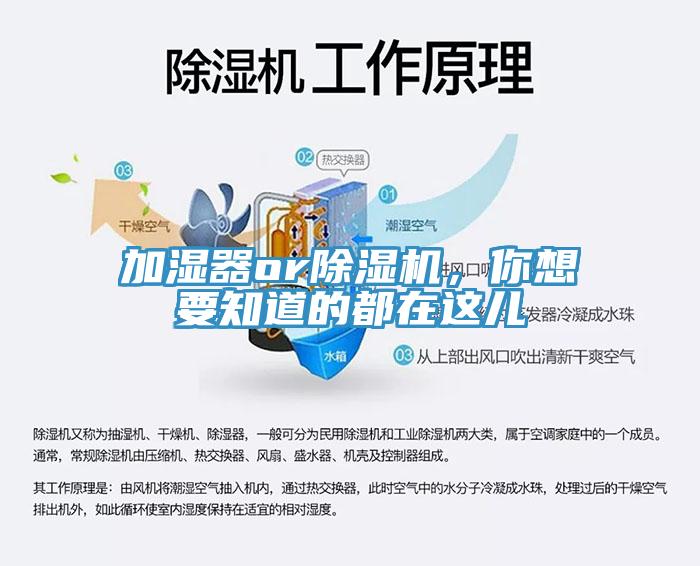 加濕器or除濕機，你想要知道的都在這兒