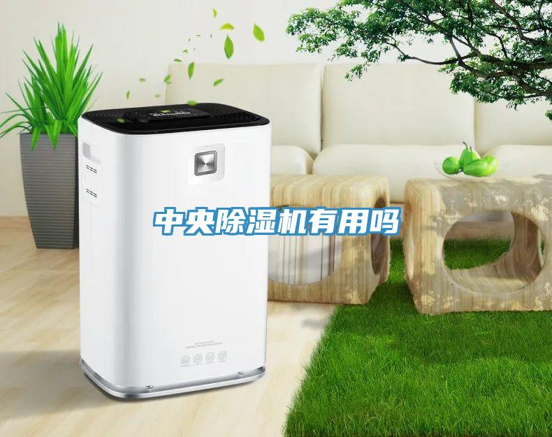 中央除濕機有用嗎