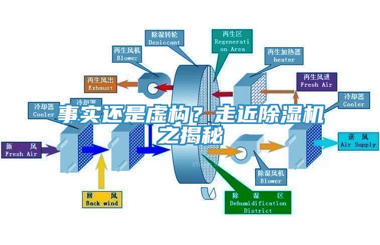 事實還是虛構？走近除濕機之揭秘