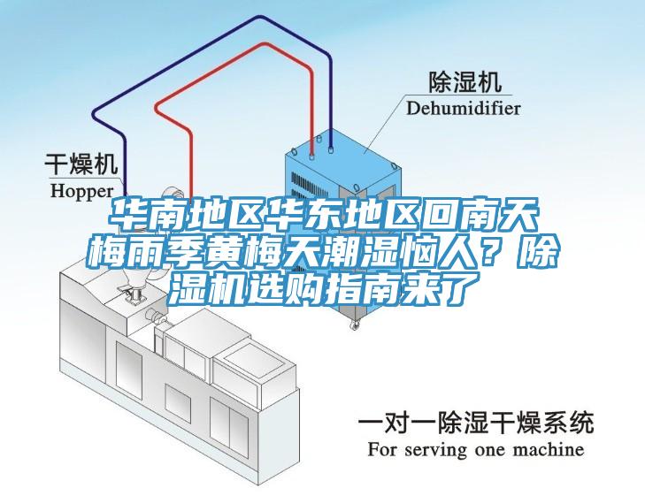 華南地區華東地區回南天梅雨季黃梅天潮濕惱人？除濕機選購指南來了