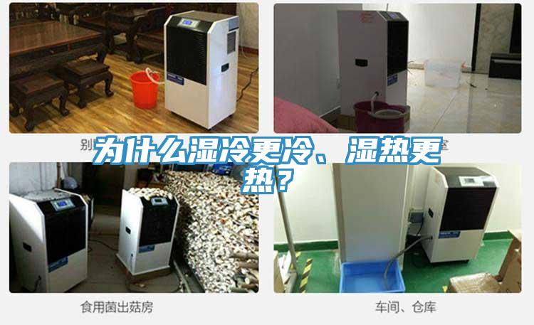為什么濕冷更冷、濕熱更熱？