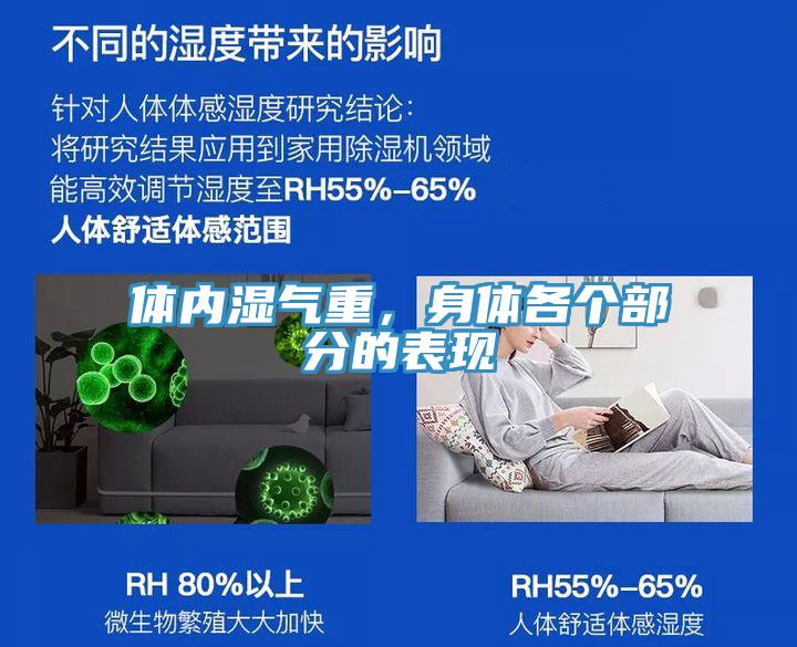 體內濕氣重，身體各個部分的表現