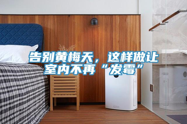 告別黃梅天，這樣做讓室內不再“發霉”