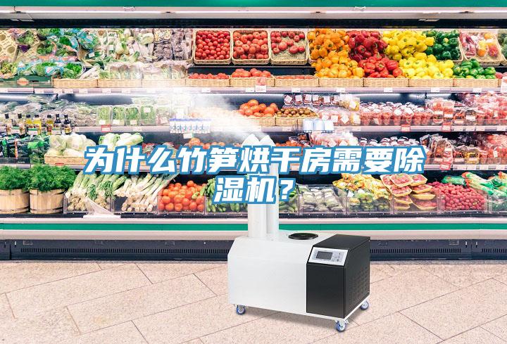 為什么竹筍烘干房需要除濕機？