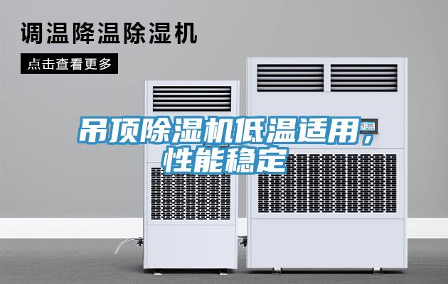 吊頂除濕機低溫適用，性能穩定