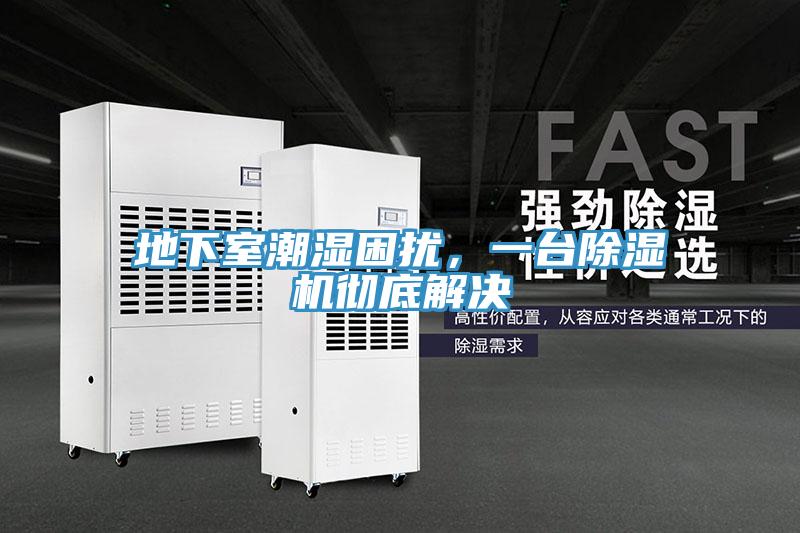 地下室潮濕困擾，一臺除濕機徹底解決