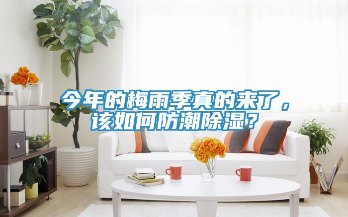 今年的梅雨季真的來了，該如何防潮除濕？