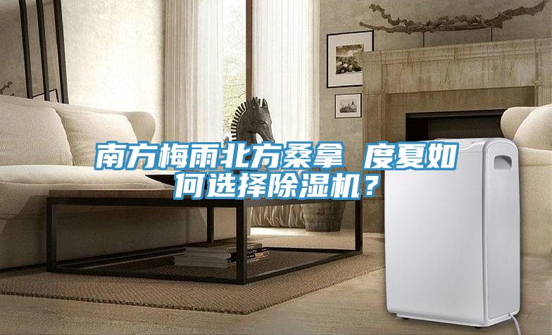 南方梅雨北方桑拿 度夏如何選擇除濕機？