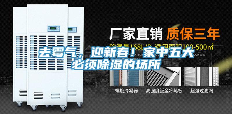 去霉氣，迎新春！家中五大必須除濕的場所