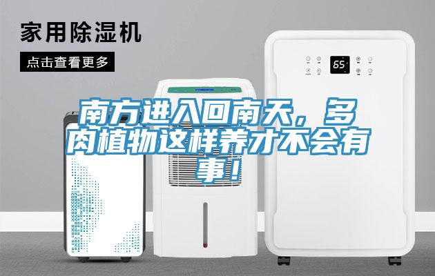南方進入回南天，多肉植物這樣養才不會有事！