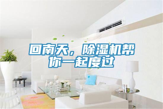 回南天，除濕機幫你一起度過