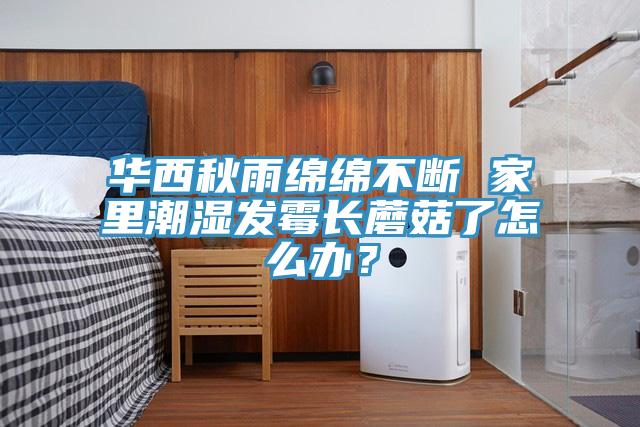 華西秋雨綿綿不斷 家里潮濕發霉長蘑菇了怎么辦？