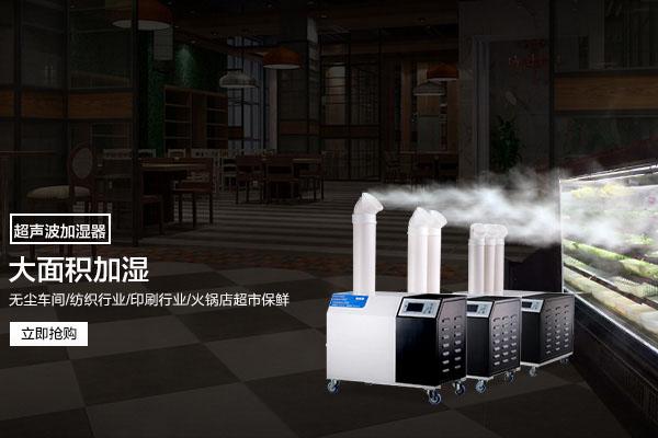 回南天貓毛都粘在一起，面對潮濕天氣，鏟屎官養貓需要注意什么