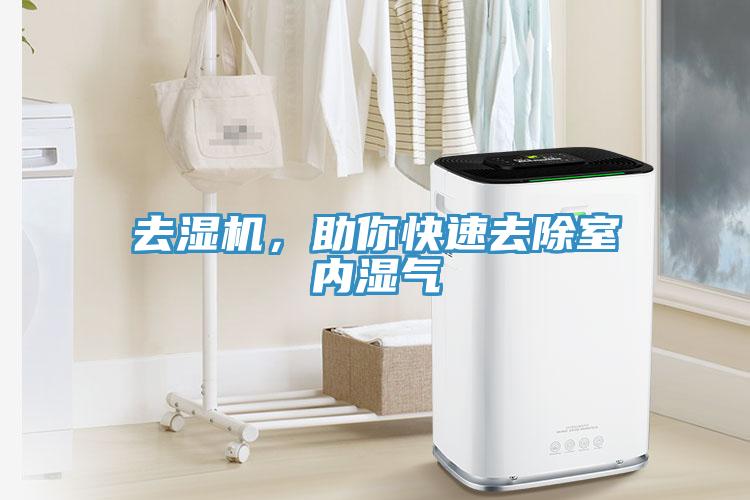 去濕機，助你快速去除室內濕氣