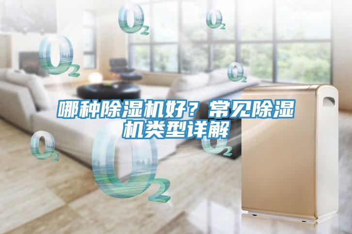 哪種除濕機好？常見除濕機類型詳解