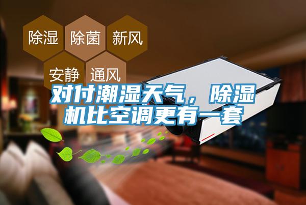 對付潮濕天氣，除濕機比空調更有一套