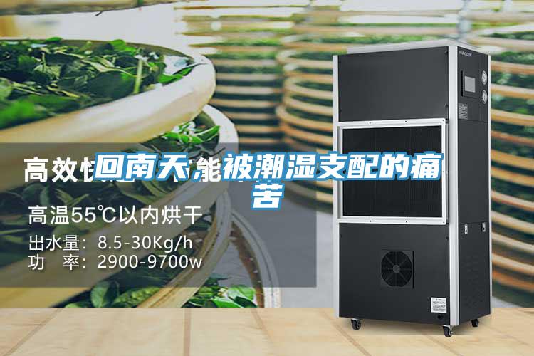 回南天，被潮濕支配的痛苦