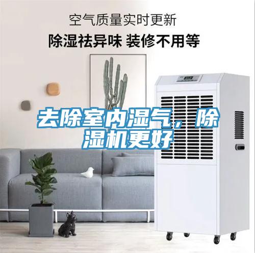 去除室內濕氣，除濕機更好
