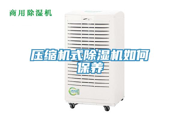壓縮機式除濕機如何保養