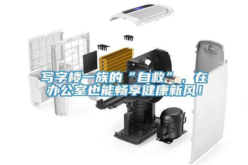 寫字樓一族的“自救”，在辦公室也能暢享健康新風！