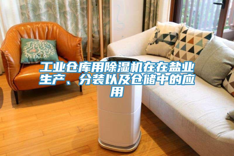 工業倉庫用除濕機在在鹽業生產、分裝以及倉儲中的應用