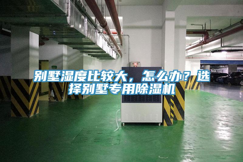 別墅濕度比較大，怎么辦？選擇別墅專用除濕機