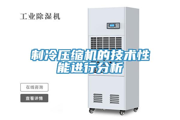制冷壓縮機的技術性能進行分析