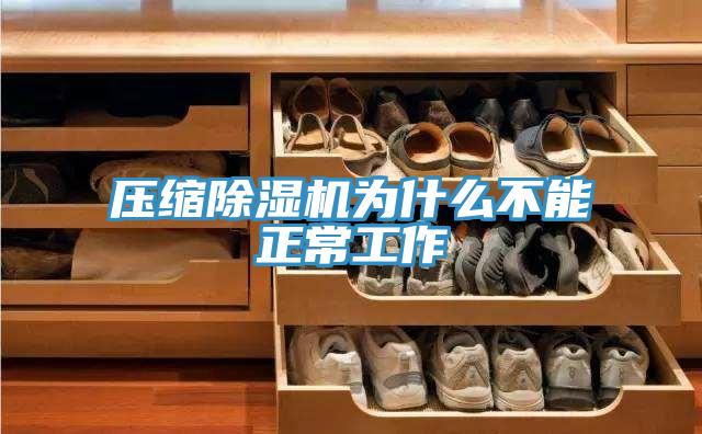 壓縮除濕機為什么不能正常工作