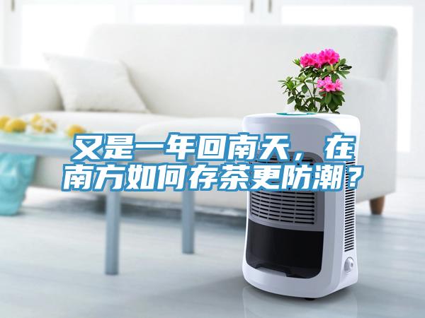 又是一年回南天，在南方如何存茶更防潮？