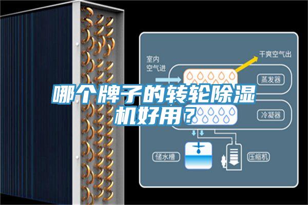 哪個牌子的轉輪除濕機好用？