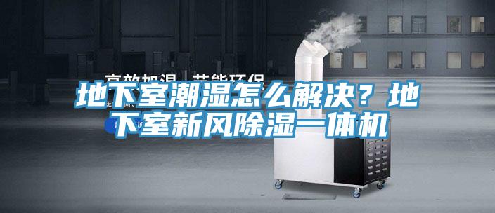 地下室潮濕怎么解決？地下室新風除濕一體機