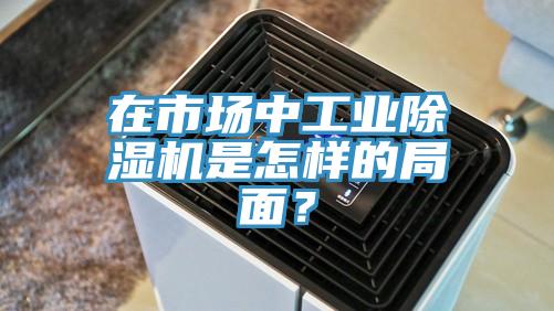 在市場中工業除濕機是怎樣的局面？