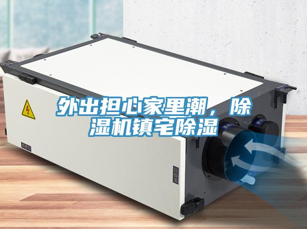 外出擔心家里潮，除濕機鎮宅除濕