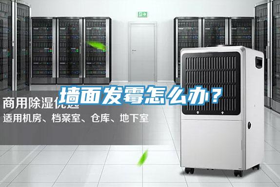 墻面發霉怎么辦？