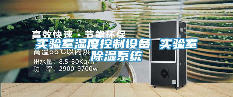 實驗室濕度控制設備 實驗室除濕系統