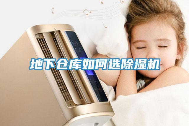 地下倉庫如何選除濕機