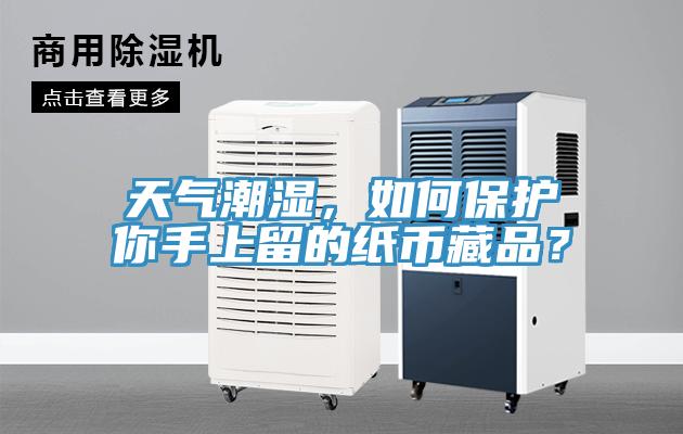 天氣潮濕，如何保護你手上留的紙幣藏品？