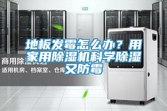 地板發霉怎么辦？用家用除濕機科學除濕又防霉