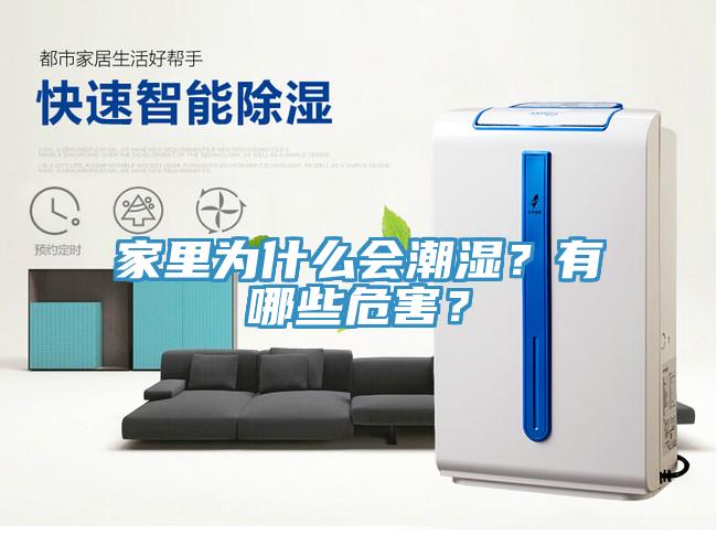家里為什么會潮濕？有哪些危害？