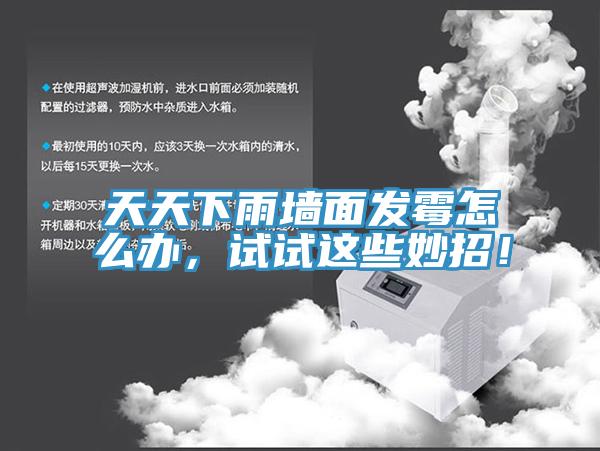 天天下雨墻面發霉怎么辦，試試這些妙招！