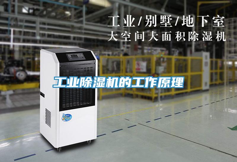 工業除濕機的工作原理