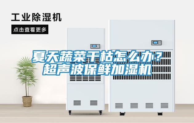 夏天蔬菜干枯怎么辦？超聲波保鮮加濕機