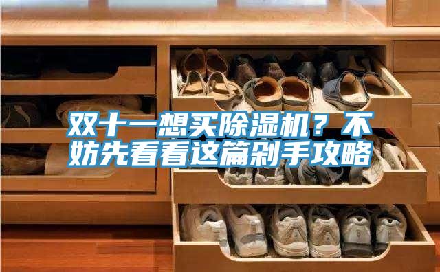 雙十一想買除濕機？不妨先看看這篇剁手攻略