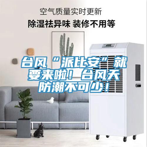 臺風“派比安”就要來啦！臺風天防潮不可少！