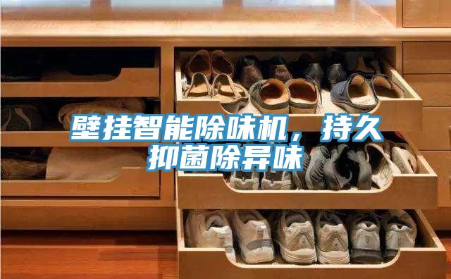 壁掛智能除味機，持久抑菌除異味