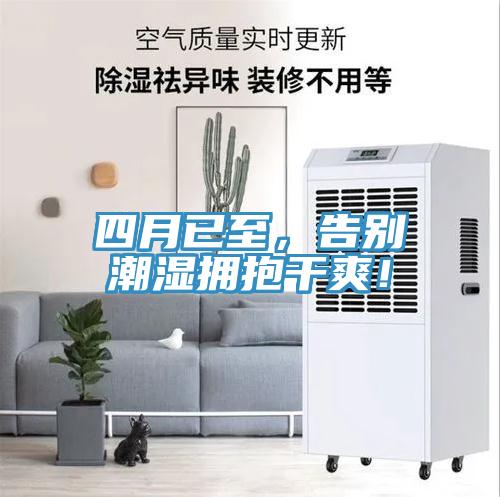 四月已至，告別潮濕擁抱干爽！